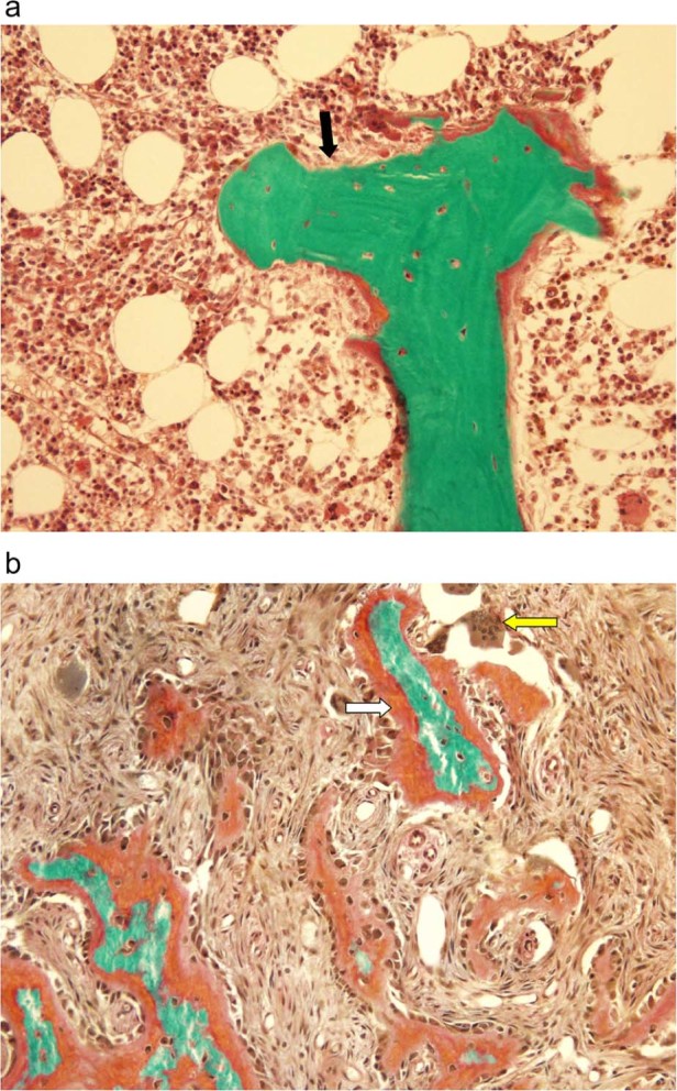 Figure 1