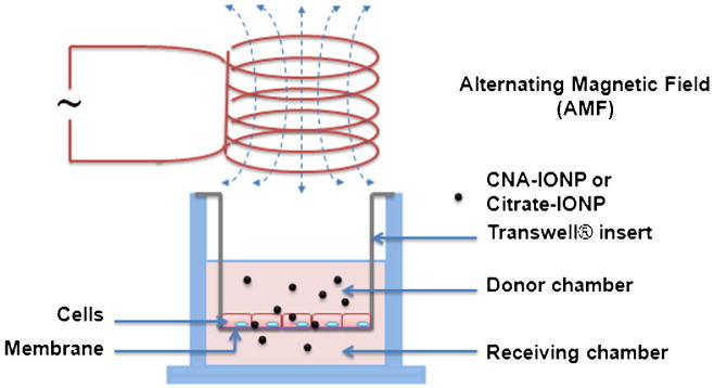 Fig. 1