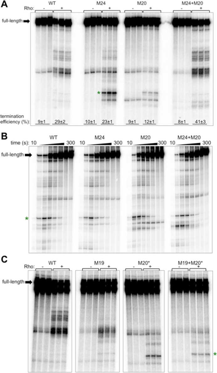 Figure 5.