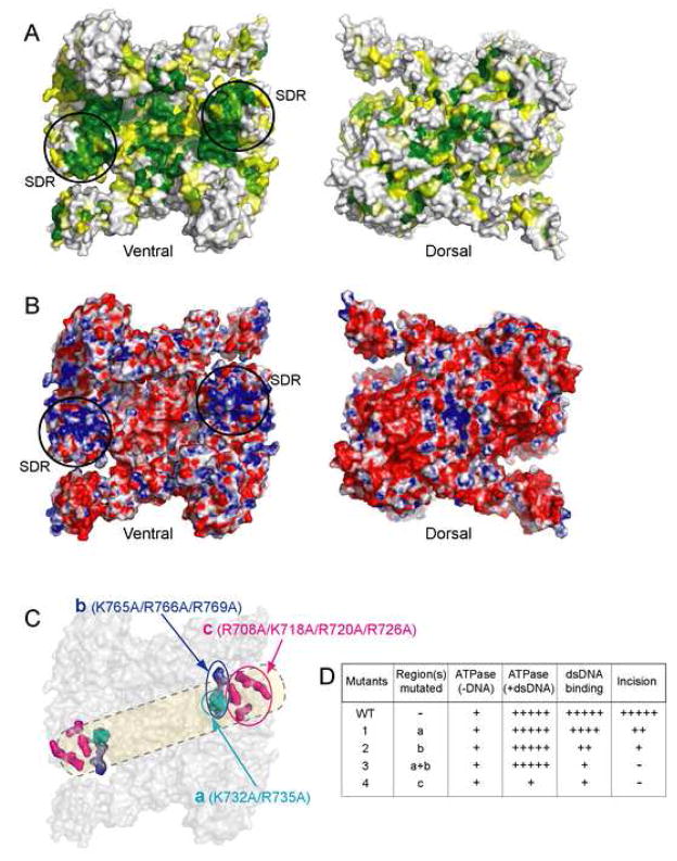 Figure 6