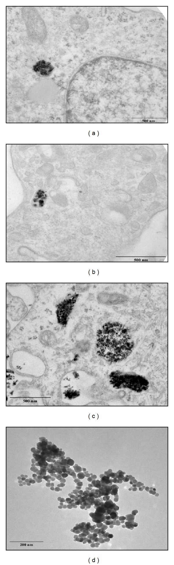 Figure 11