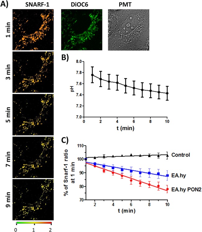 FIG 6