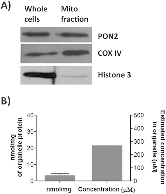 FIG 5