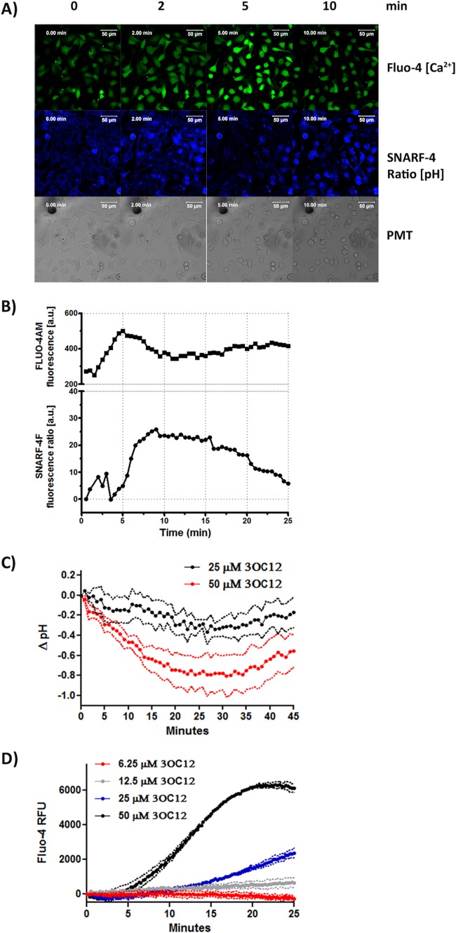 FIG 2