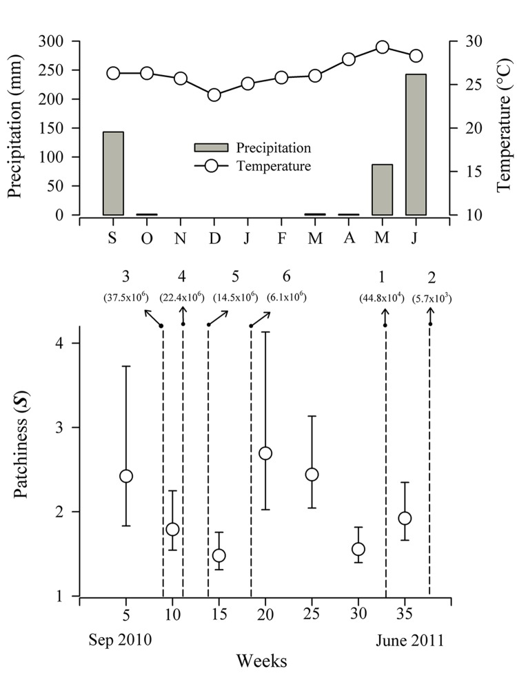 Fig 4