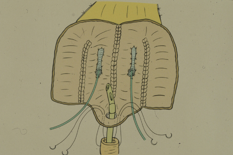 Figure 9. 