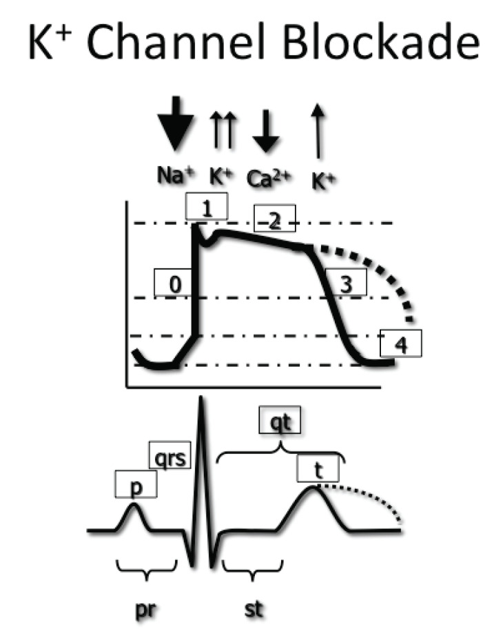 Fig. (2)