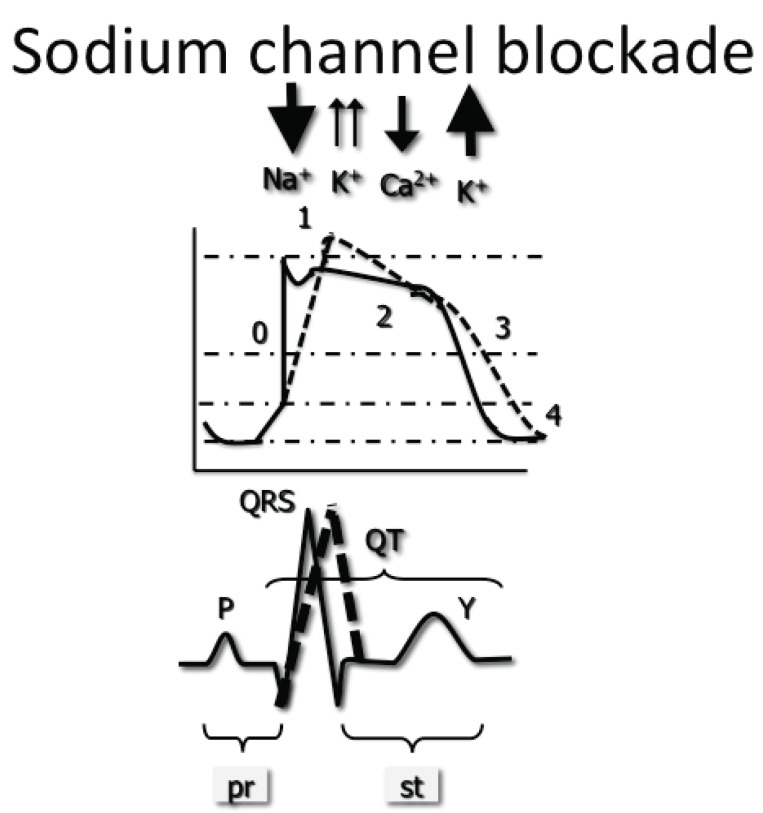 Fig. (1)