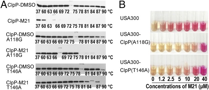 Fig. 4.