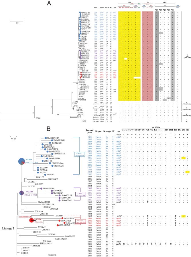 FIG 1