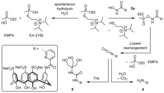 Scheme 2