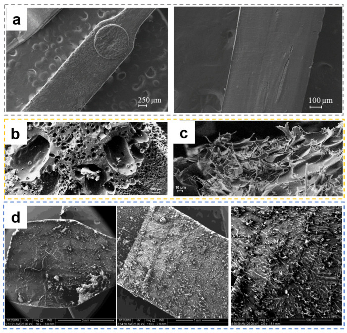 Figure 25