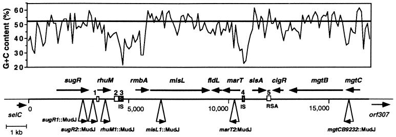 FIG. 1