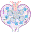 Fig. 2 |