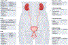 Fig. 4 |