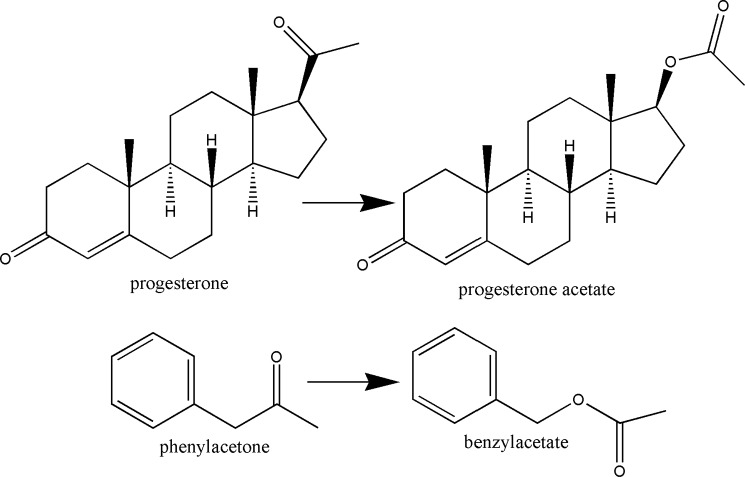 SCHEME 1.