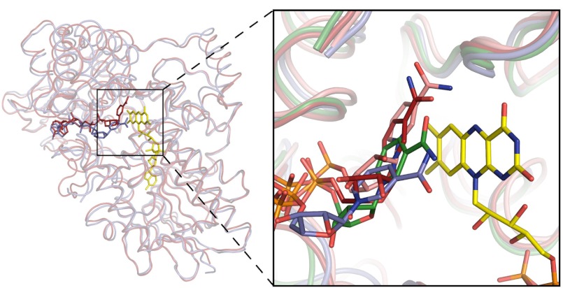 FIGURE 2.