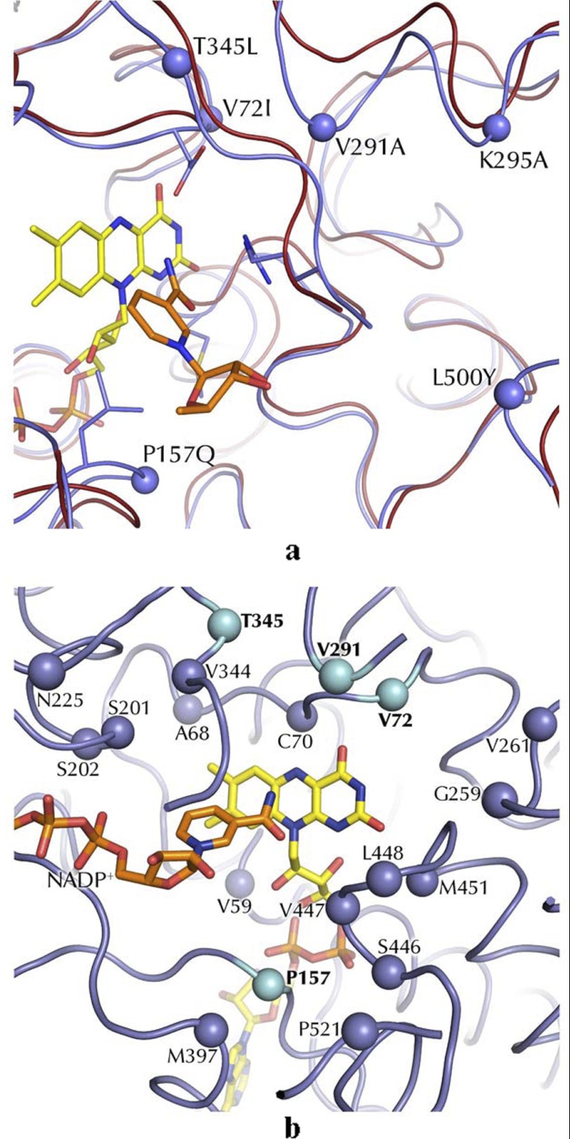 FIGURE 4.