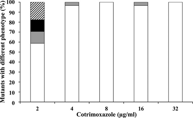 FIG 1