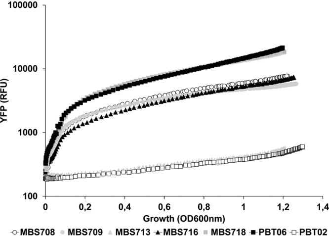 FIG 3