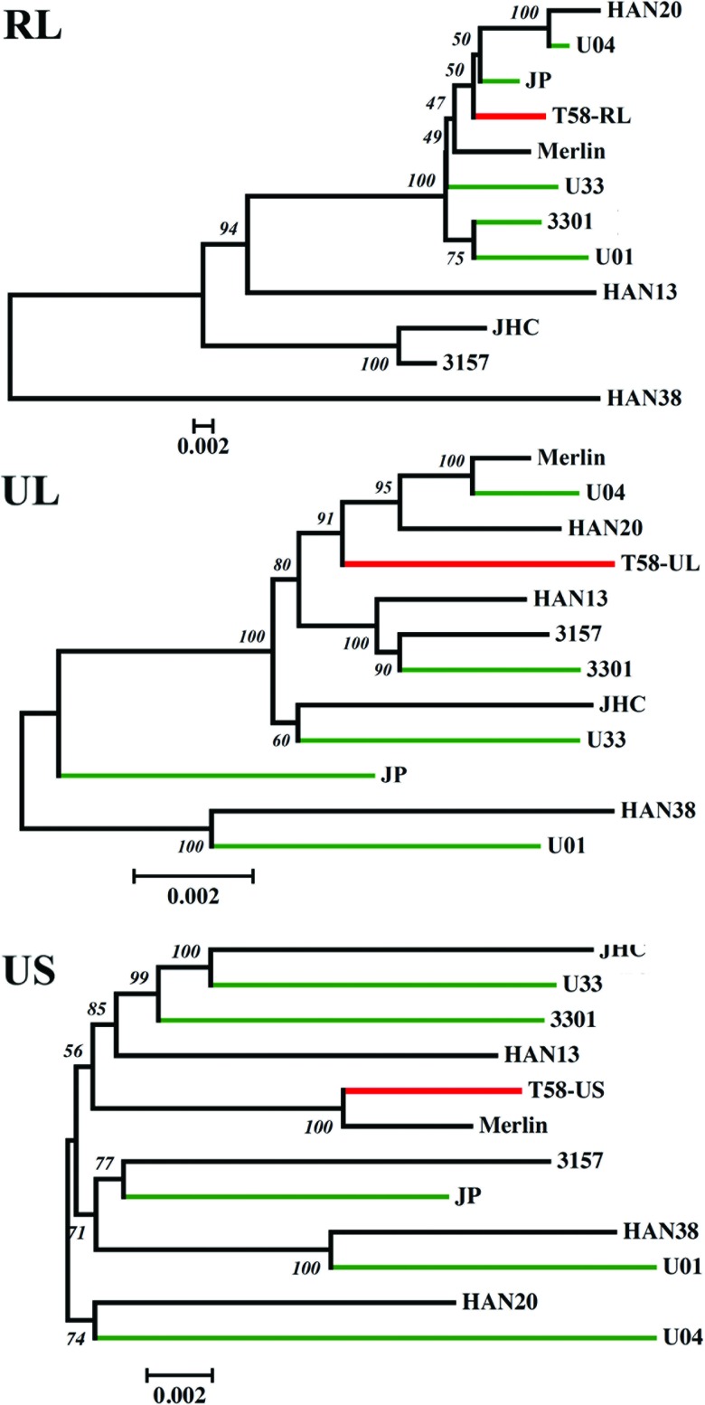 Fig 5