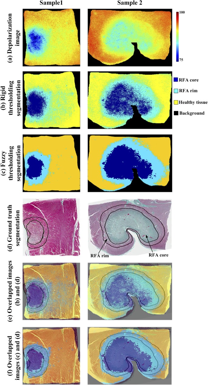 Fig 3