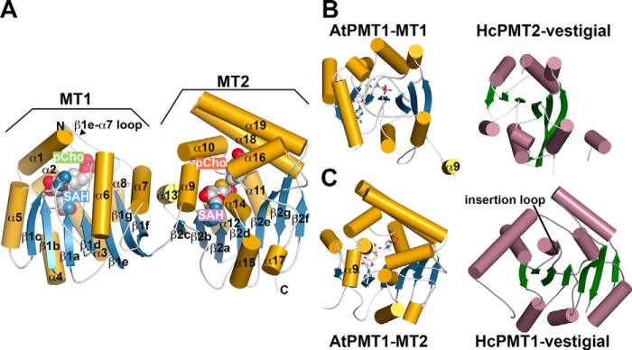 Figure 3.