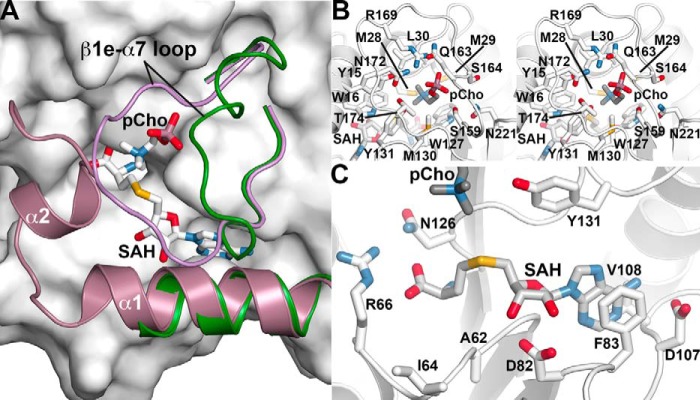 Figure 6.