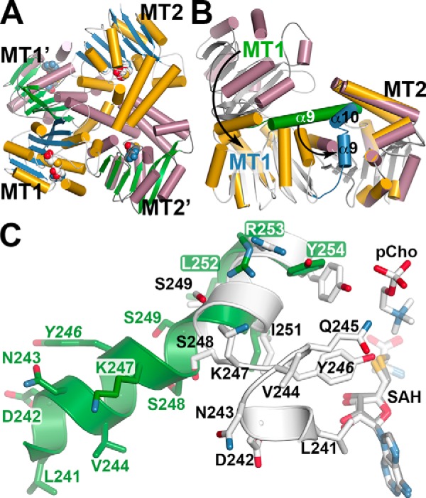 Figure 4.