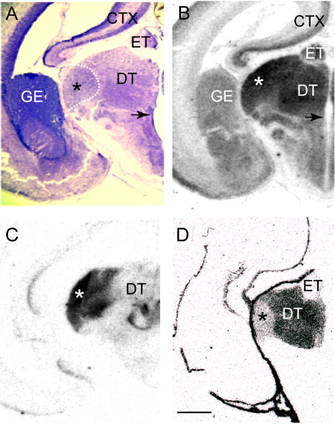 Figure 10.