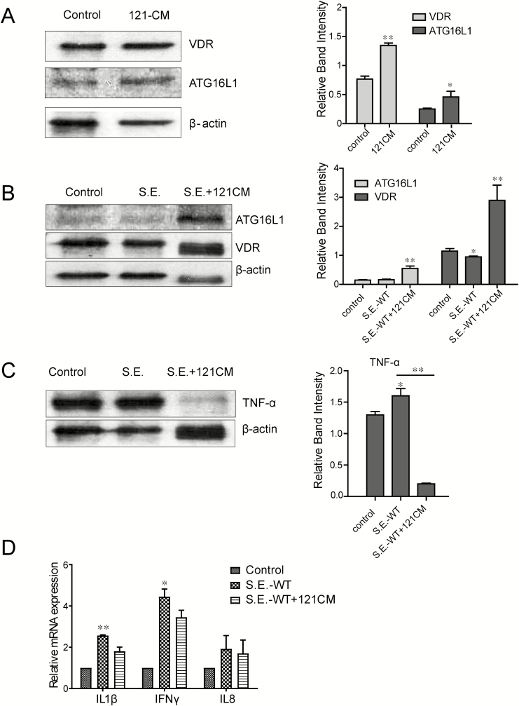 Figure 6.