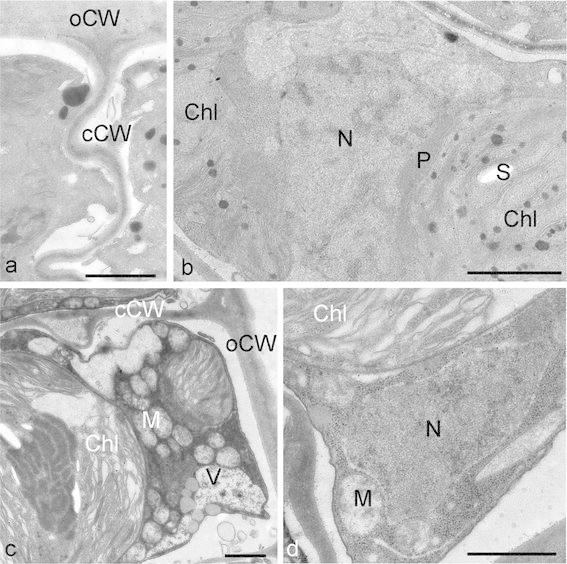 Fig. 5