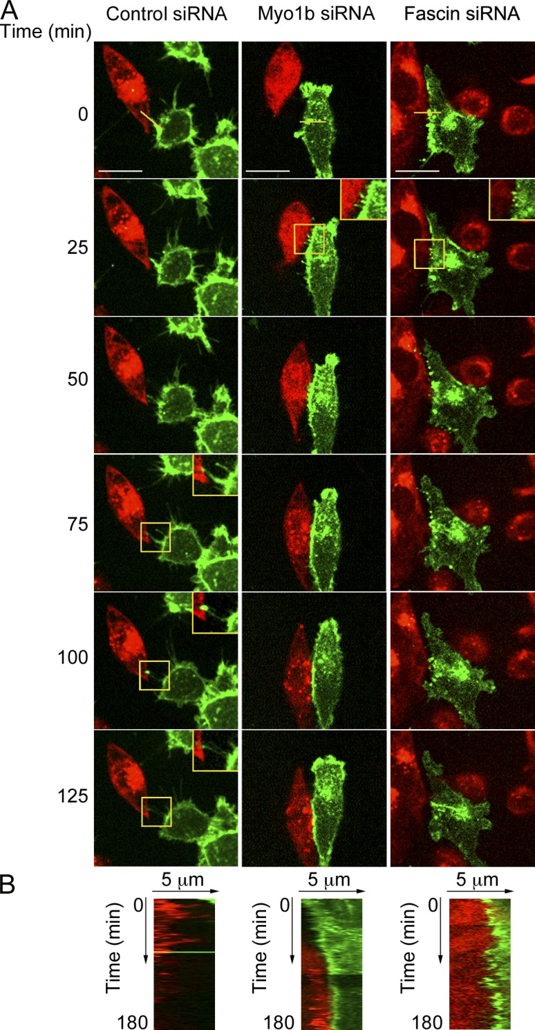 Figure 6.