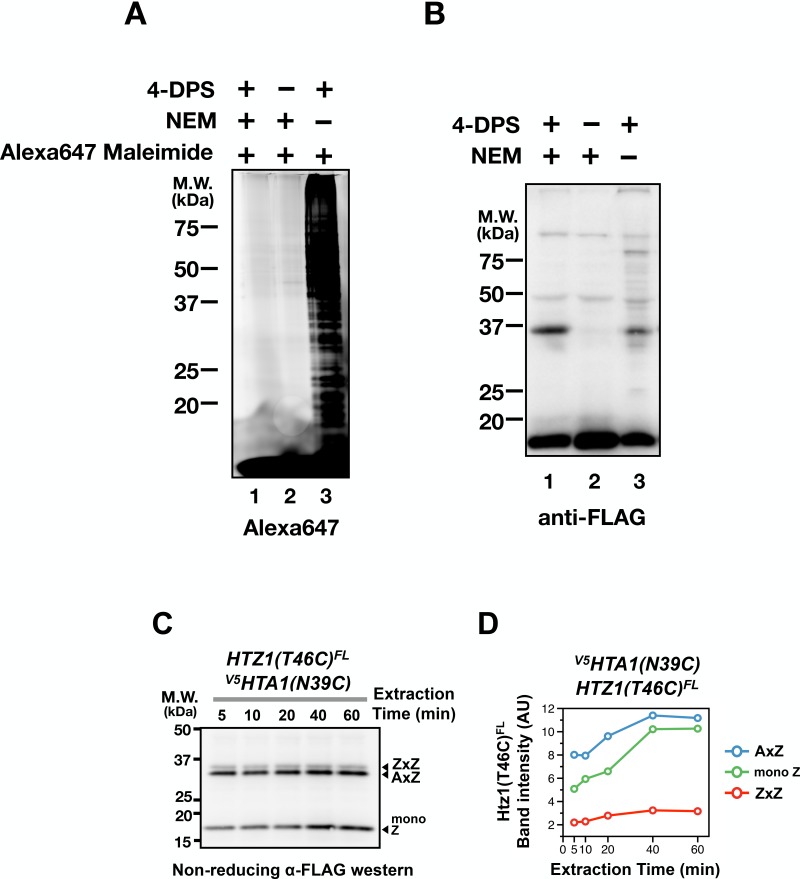 Figure 1—figure supplement 3.