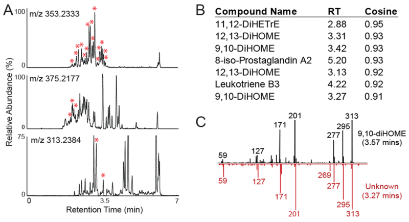 Figure 2: