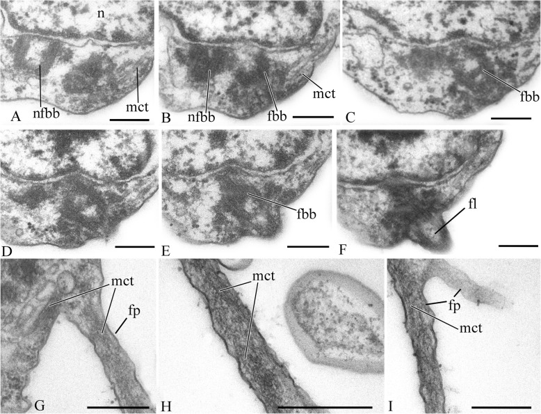 Fig. 13