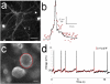 Fig. 3.