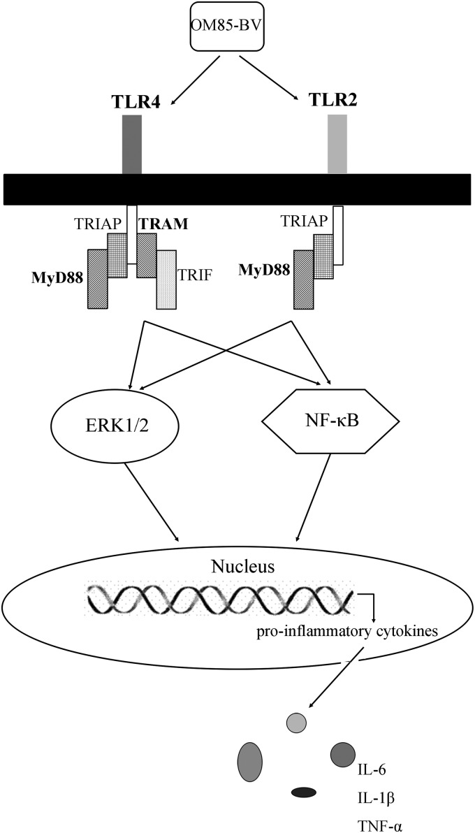 FIG. 7.