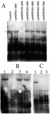 FIG. 9.