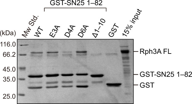 Figure 2—figure supplement 3.