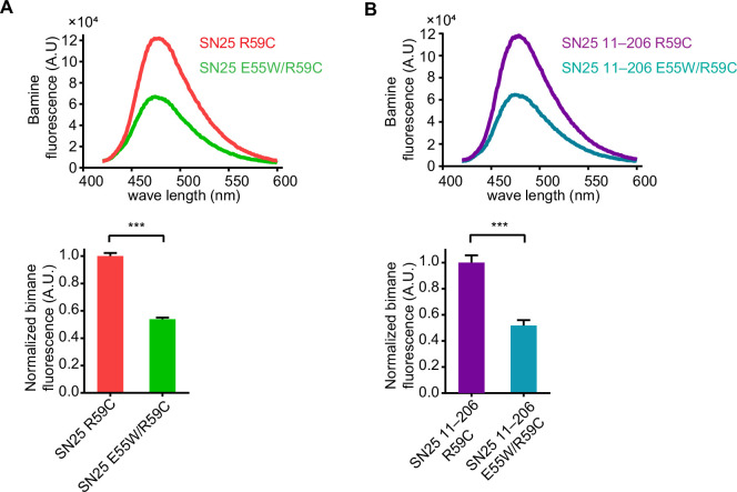 Figure 6—figure supplement 2.