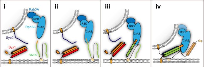 Figure 7.