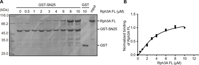 Figure 1—figure supplement 2.