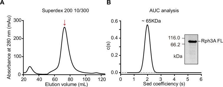 Figure 1—figure supplement 1.