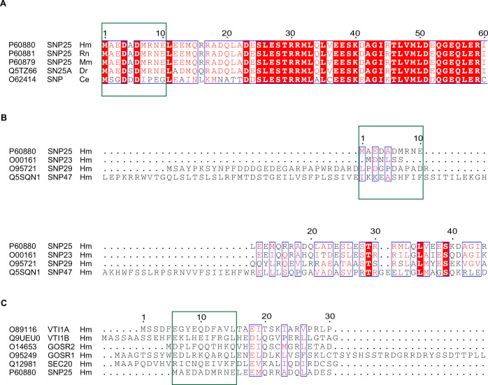 Figure 2—figure supplement 2.