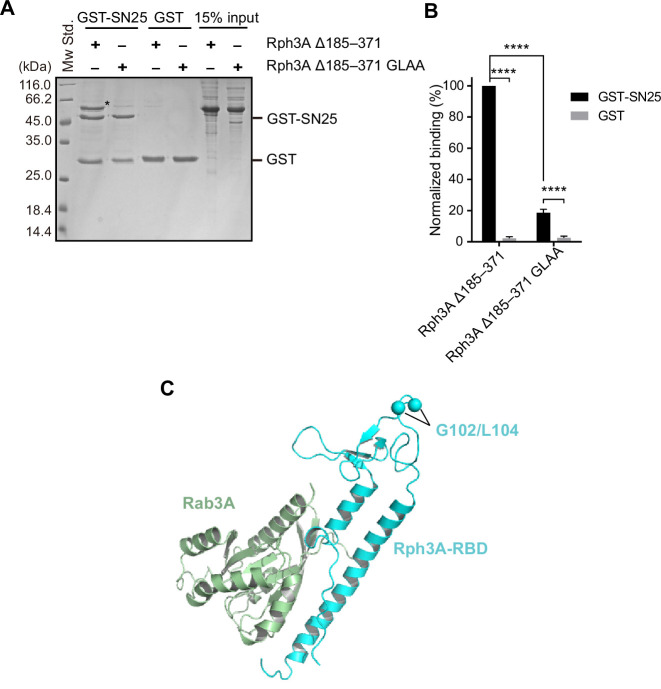 Figure 1—figure supplement 3.