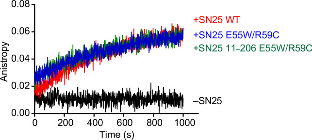 Figure 6—figure supplement 1.