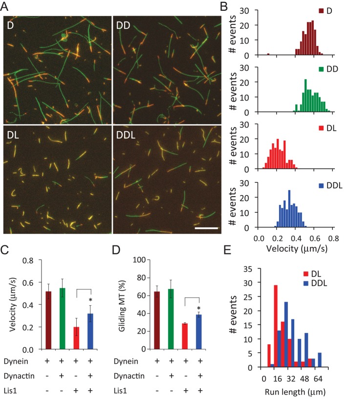 FIGURE 6: