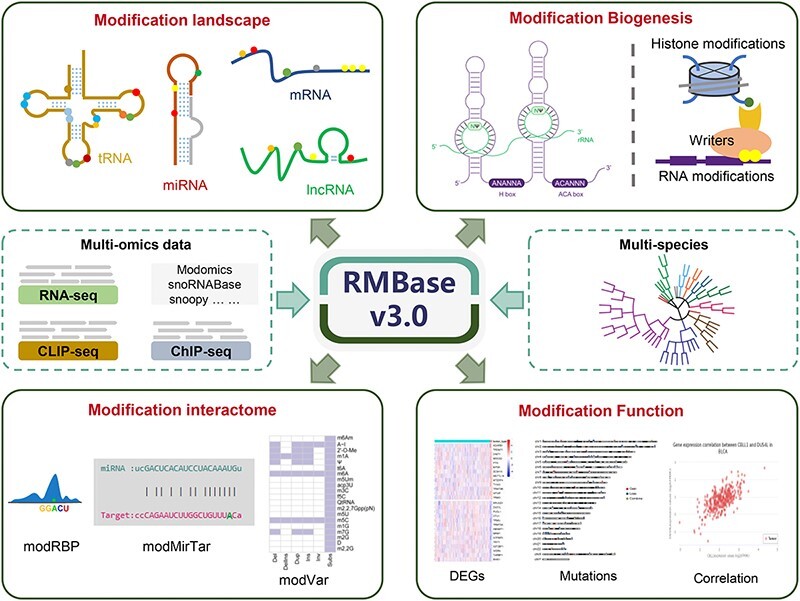 Graphical Abstract