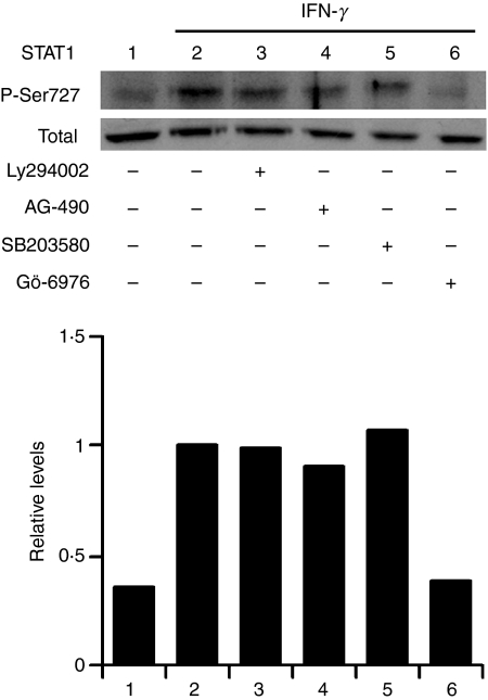 Figure 7